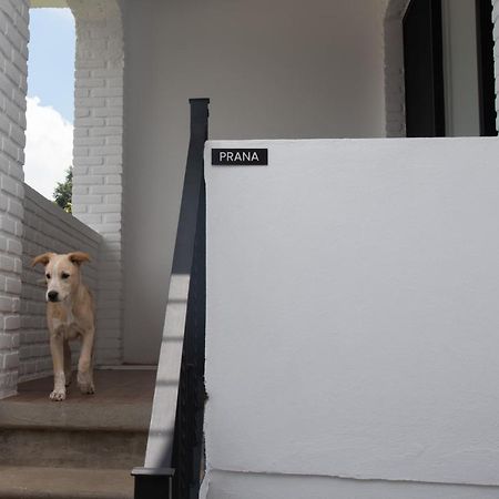 Casa Naamja Hotel Tepoztlan Ngoại thất bức ảnh