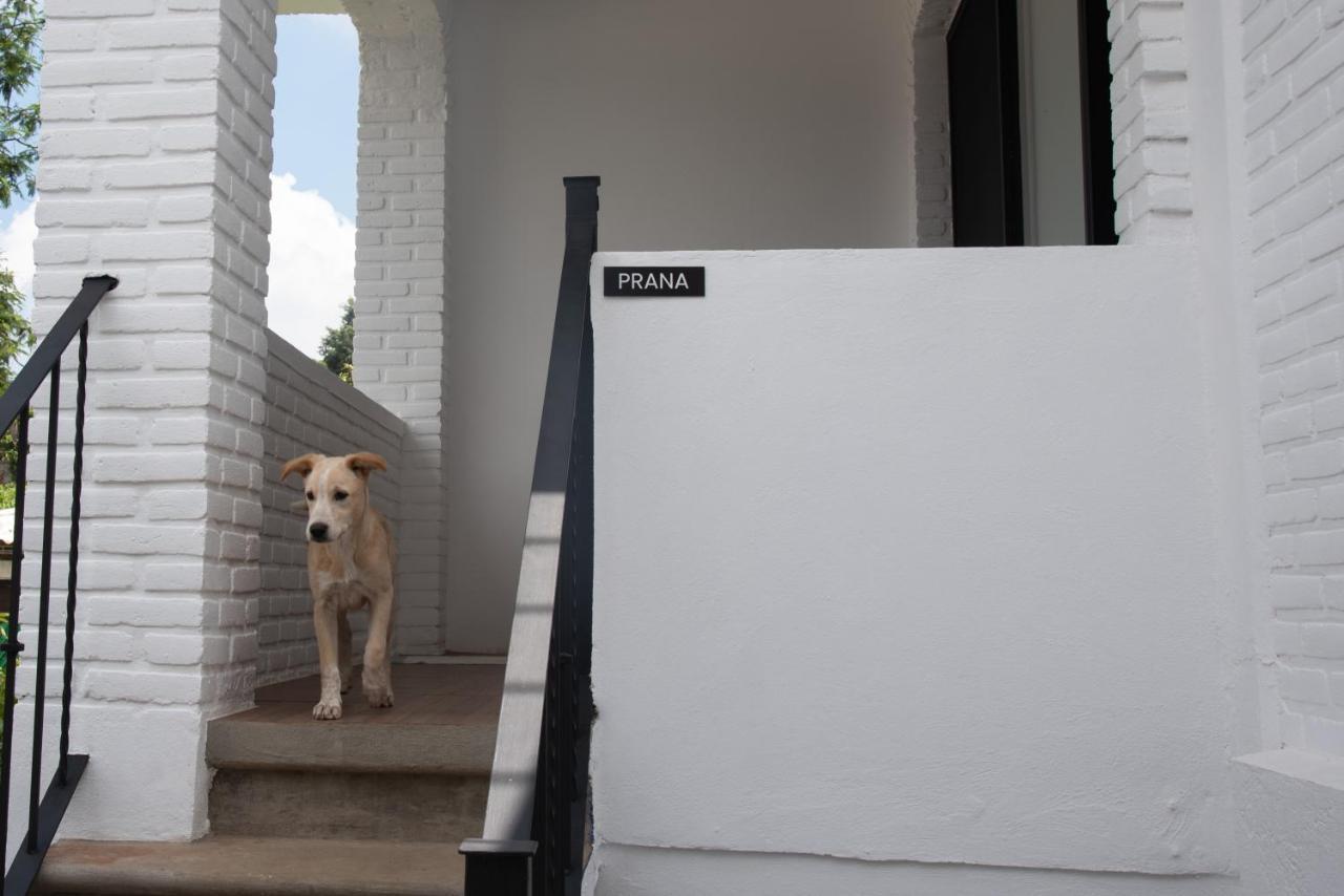 Casa Naamja Hotel Tepoztlan Ngoại thất bức ảnh